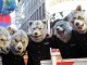 MAN WITH A MISSION