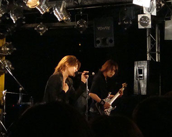 ViViD
