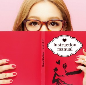 Nishino Kana - Torisetsu (édition limitée)