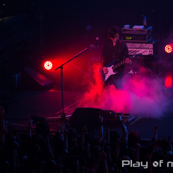 Angelo @ Shinkiba STUDIO COAST (2016.02.24)