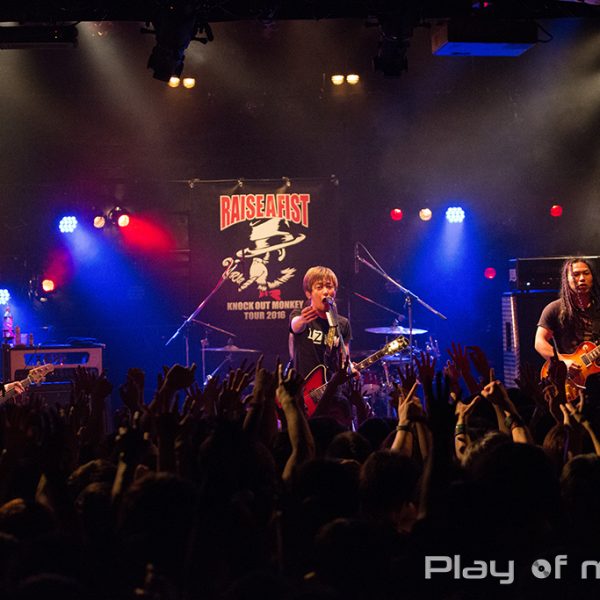 KNOCK OUT MONKEY (2016.3.12)