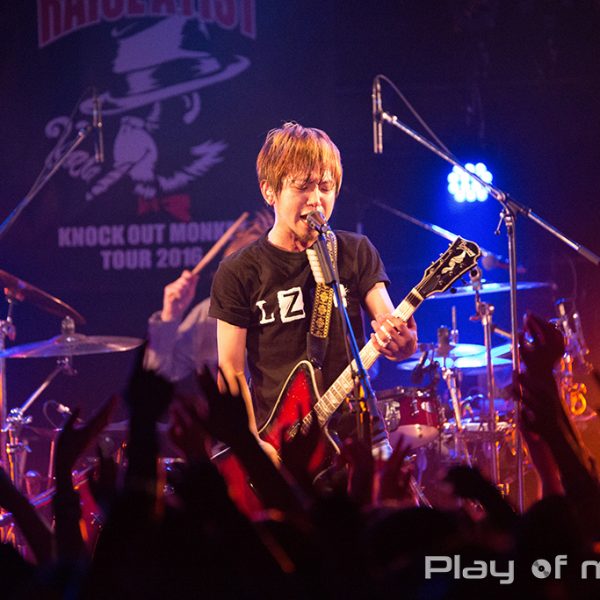 KNOCK OUT MONKEY (2016.3.12)