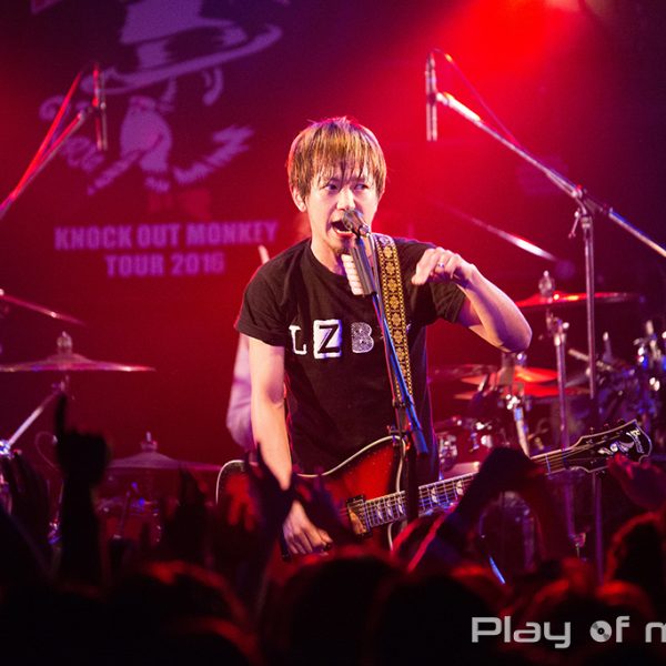 KNOCK OUT MONKEY (2016.3.12)