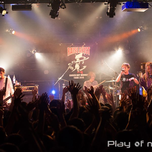 KNOCK OUT MONKEY (2016.3.12)