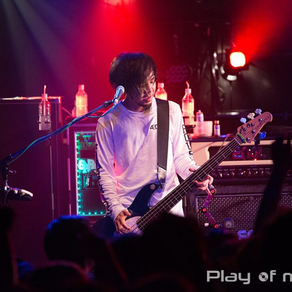 KNOCK OUT MONKEY (2016.3.12)