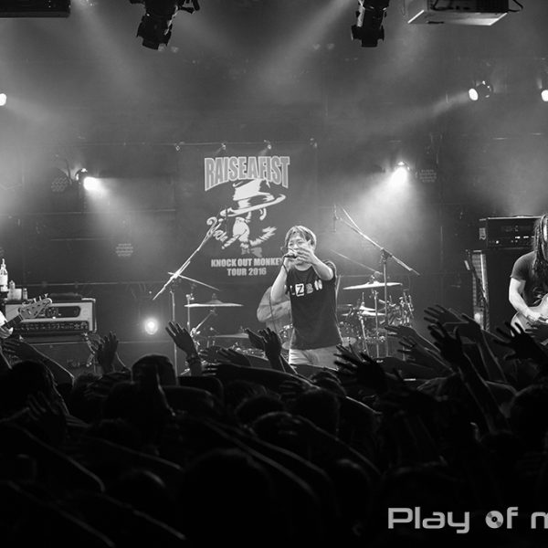 KNOCK OUT MONKEY (2016.3.12)