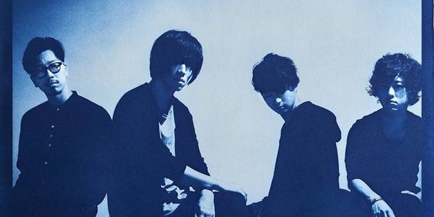 androp androp