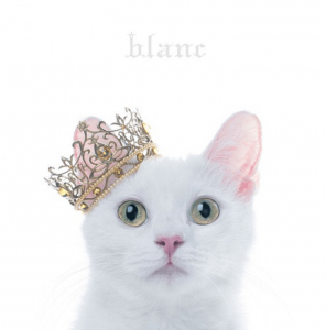 Aimer - blanc (édition normale et limitée B)