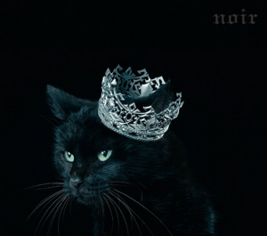 Aimer - noir (édition limitée A)