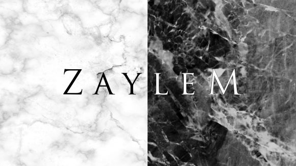 Zaylem – Logo