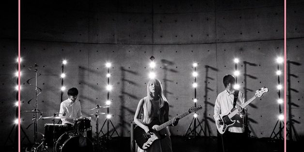 Co shu Nie Co shu Nie