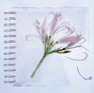 KANA-BOON - Nerine (limited edition)